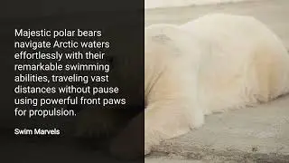 Fascinating Facts About Polar Bears | Arctic Giants of the Ice 🐻&zwj;❄️ #animals #wildlife #polarbear