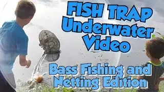 FISH Trap UNDERWATER Cam Video! With Bass fishing and Netting CREATURES!