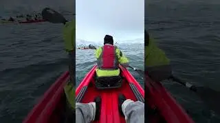 Kayak  #antarctica