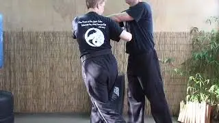 Tracy Kenpo Karate Swinging Gate