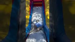Yelnats on the slide 🦴❤️ #Risingcreater #bonesfamily #stanleybones #skeleton #slide #bouncyhouse