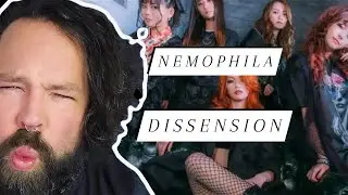 THEY ARE NON STOP! Ex Metal Elitist Reacts to Nemophila 
