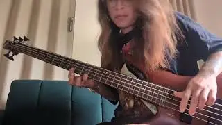 only you can rock me - ufo bass cover