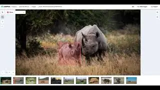Bounding box labeling - Tips - LabelFlow