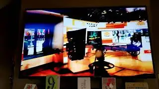Our 2020 Birthday at TODAY Virtual Plaza.  KK and Cannon! (Show intro)