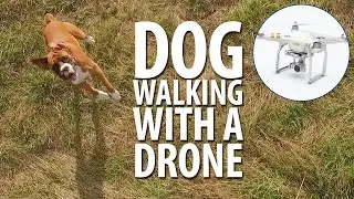 Dog walking with a drone! DJI Phantom 3 professional