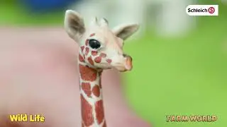 Schleich Stories - Farm World & Wild Life