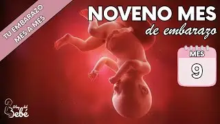 ❤️ Noveno mes de embarazo 🤰 Síntomas, consejos y desarrollo del bebé | El embarazo semana a semana