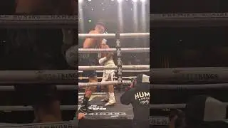 KING ROBERT MERIWETHER WITH FIRST ROUND K.O WITH A DEVASTATING BODY SHOT.