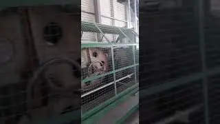PP rope producing