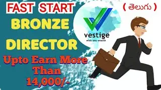 Vestige Fast Start Bronze Director In Telugu