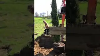 Boom plant dag 😀