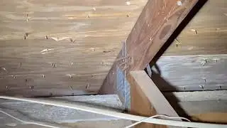 Wind Mitigation Inspection