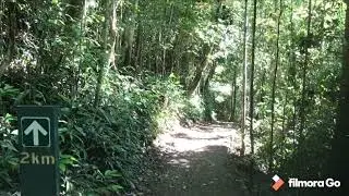walking aroud lake eacham Qld. Australia