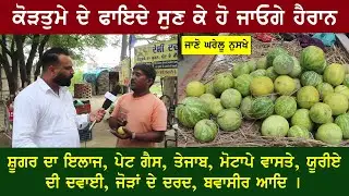 You will be surprised to hear the benefits of Kortuma | Bitter Apple | Kortuma | Indrayan | Coloc...