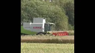 Lexion Power Harvest