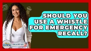 Should You Use A Whistle For Emergency Recall? - Ask A Pet Vet
