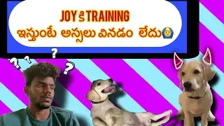 Joy ke training isthunte na mata vinatam ledu🙆&zwj;♂️🙆&zwj;♂️ @jagadishking5678