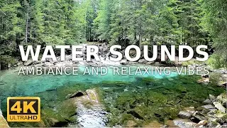 Hidden Forest Pool: Water Sounds for Relaxation | Study, Sleep, Focus | 4K Nature Ambiance