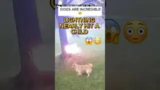 THE BEST ANIMALS IN THE WORLD 🥹🥹❤️ #trending #pets #viral #cute #kindnessiscool