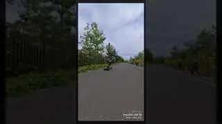 Kaly NYC xl40