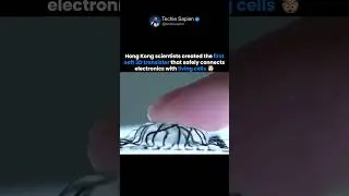 Hong Kong Scientists Create World&rsquo;s First Soft 3D Chip That Connects With Human Cells 🤯