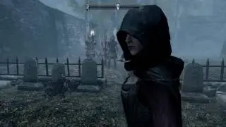 Skyrim: The Riften welcoming committee