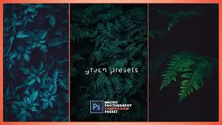 photoshop moody dark green camera raw preset | lightroom  DNG & XMP Free Download | psu