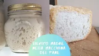 Pane con Lievito Madre nella Macchina del Pane. Proviamo a farlo insieme!