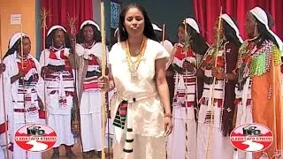 DIRIBE GADAA ON SIIQQEE POWER CONCEERT MAR. 11,2017 IN WASHINGTON DC
