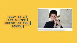 What is a Pet's Life Coach? Do you know?