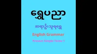Present Simple Tense