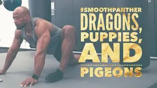Растяжка Smooth Panther 10 &mdash; Драконы, щенки и голуби (Подвижность + Гибкость + Йога)