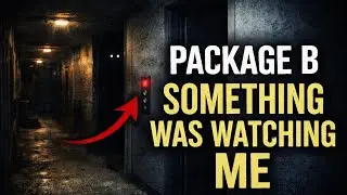 Night Delivery &ndash; Package B | Something Was Watching Me