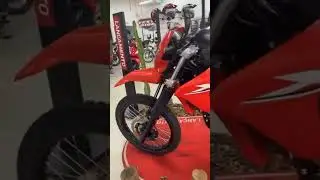 🔥 2025 XR Tornado 300