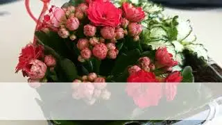 flower shop New York | (347) 6309817 | Fruit Baskets Manhattan