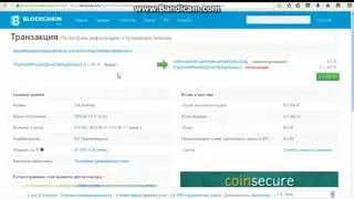 Где найти Txid транзакции на блокчейне