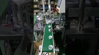 Automatic single head bottle cap wad inserting machine