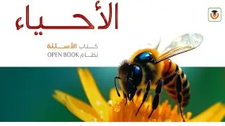 حل اختبار ٢ علي الفصل الثاني 