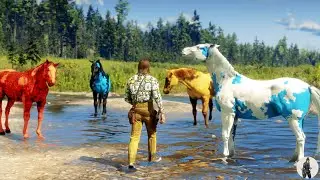 Arthur Morgan Finds and Tames 4 Rare American Paint Horses at Little Creek River 🐎✨