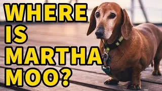 Tanya Burr in a relationship? Jim Chapman getting married? Where's the hound?