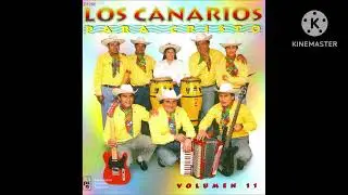 LOS CANARIOS PARA CRISTO ❤️ ALMA CAPRICHOSA 🔥