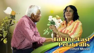 Till The Last Petal  Falls (Short Movie)