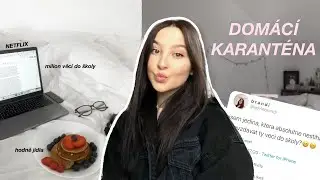 CO DĚLÁM DOMA BĚHEM KARANTÉNY? - barvení vlasů, netflix, škola!
