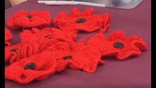 Send 2018 Poppy project