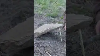 Split Trigger Deadfall Trap