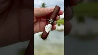 Davidoff Maduro | Cigar ASMR 🔥💨#cigarlife #asmrtherapy #cigarlovers #cigarshow #cigartime