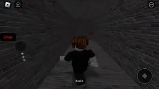Playing sledrina Roblox’s