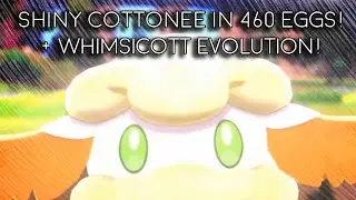 Shiny Cottonee in 460 Eggs with Whimsicott evolution!