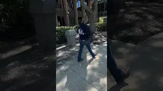 Phoebe long college 
